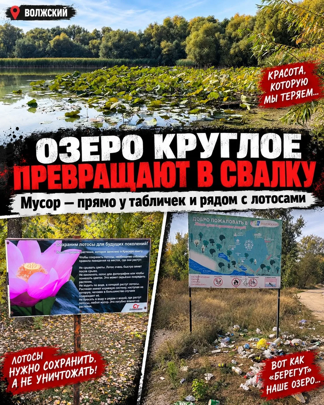 🤬 Озеро Круглое превращают в помойку