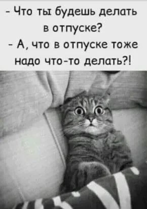 ОФИЦИАЛЬНЫЙ ДЕВИЗ НА ОСТАТОК ОТПУСКА: НИЧЕГО НЕ ДЕЛАТЬ