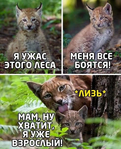 Сидела вчера в кафе, рядом за столиком – девушка лет 35. Дорогая сумка, макбук, уверенн...