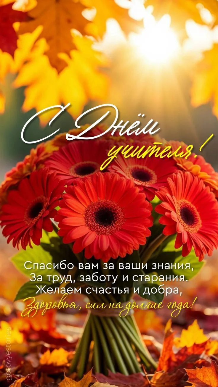 🌺 Уважаемые коллеги, поздравляем вас с Днем учителя!