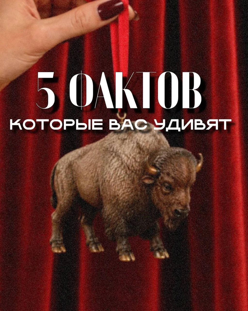 5 ФАКТОВ О КАНАДСКИХ БИЗОНАХ! 🦬