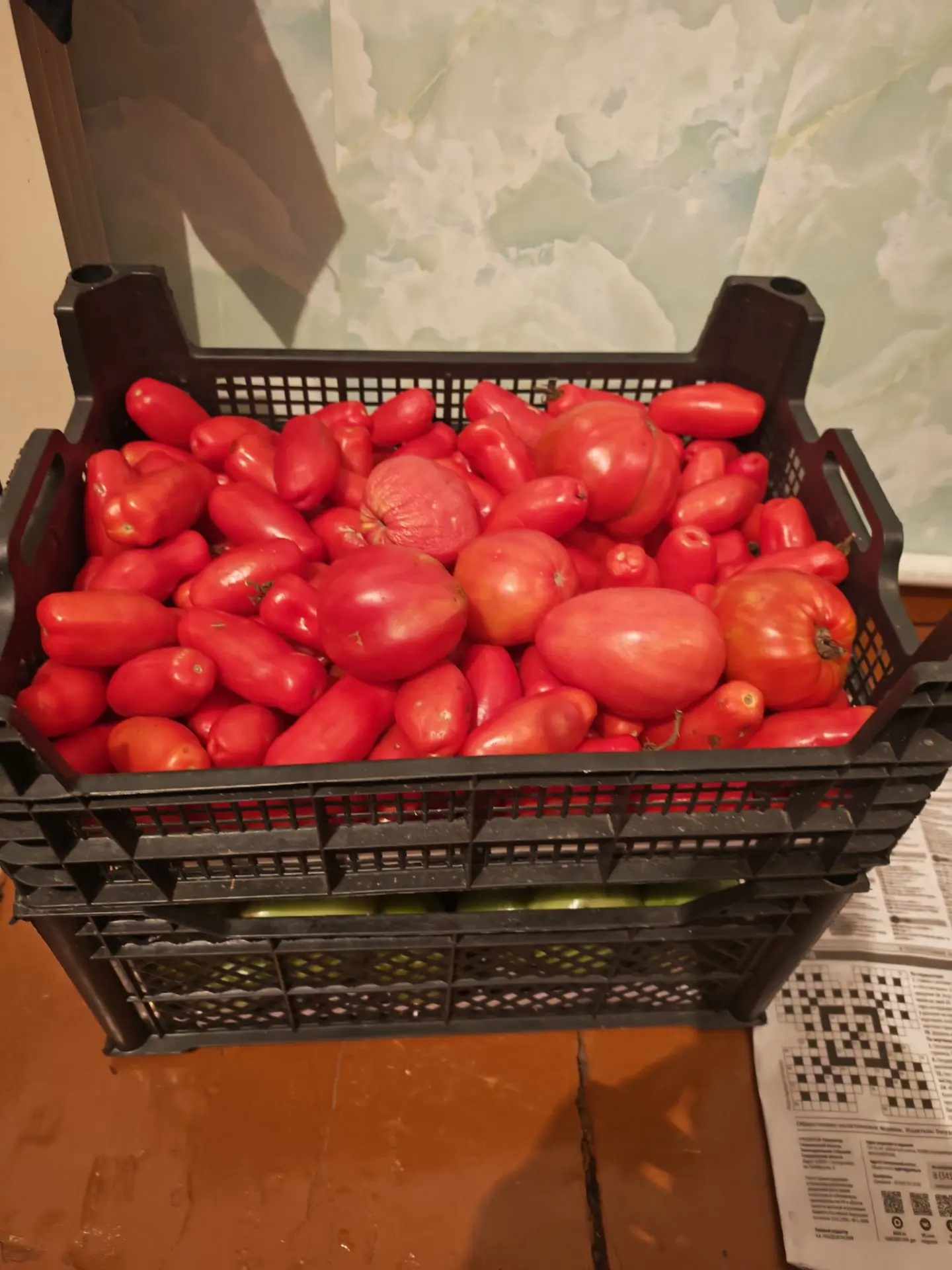 Последние остатки урожая) Заморозки у нас на Урале  были неоднократно.