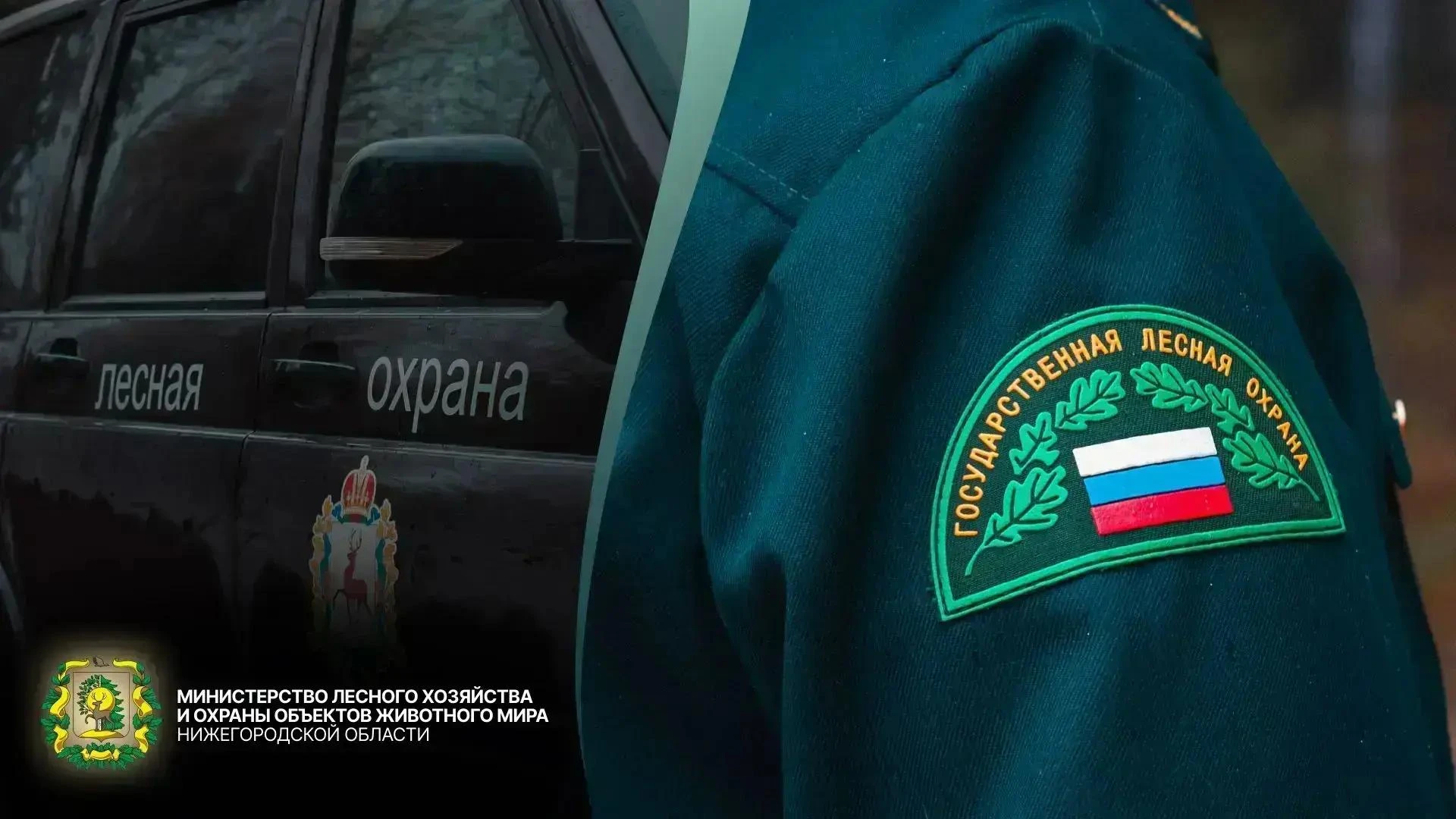 📊 Деятельность лесной охраны в цифрах.