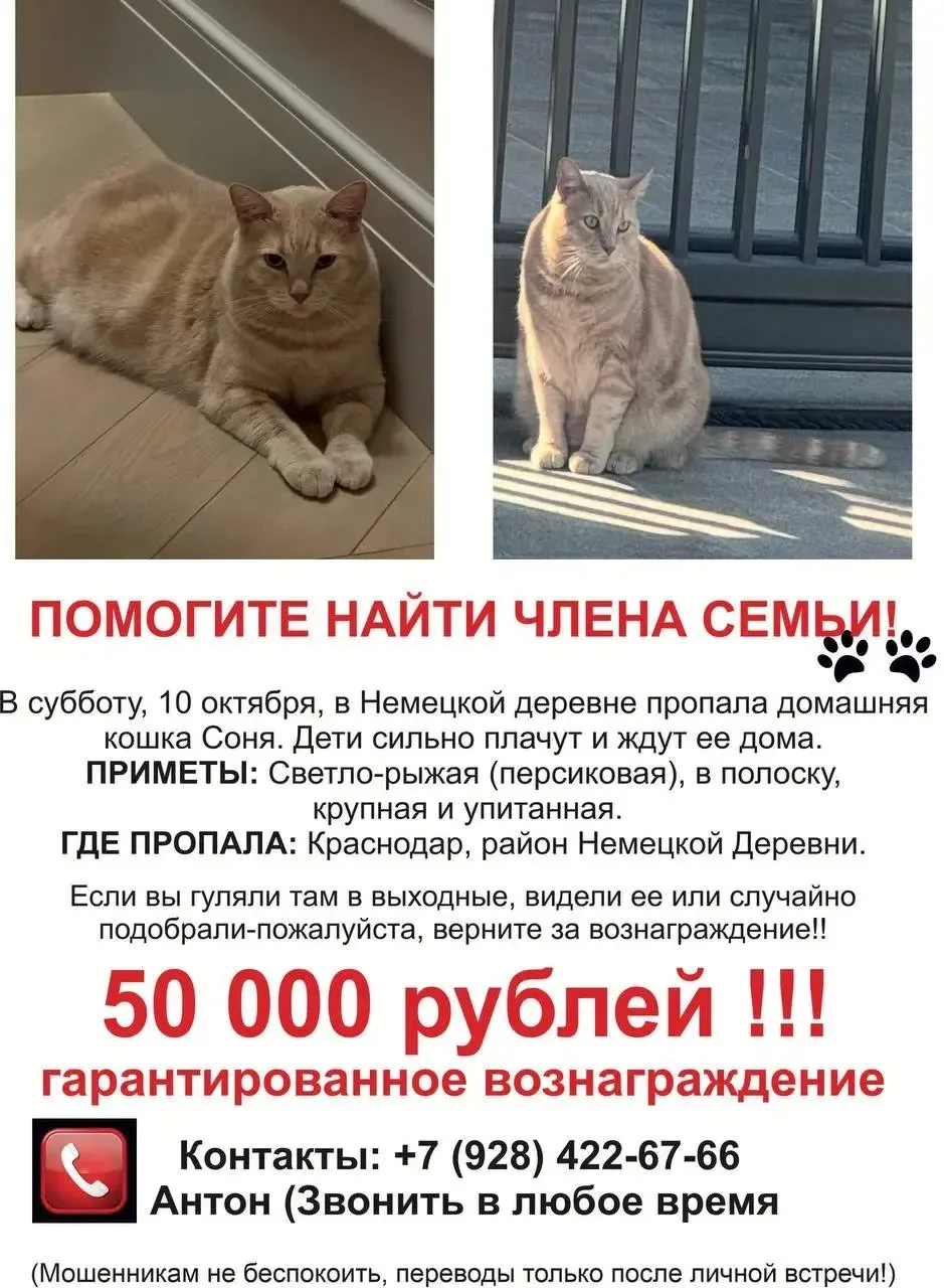 🚨 ПОМОГИТЕ НАЙТИ ЧЛЕНА СЕМЬИ! ВОЗНАГРАЖДЕНИЕ 50 000 ₽!