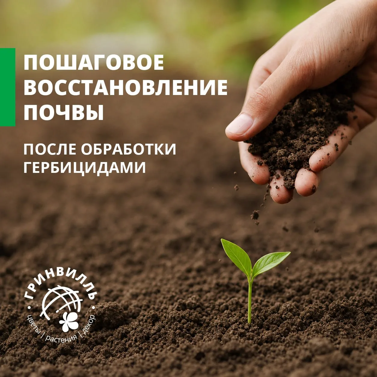 🌿 ВОССТАНОВЛЕНИЕ ПОЧВЫ ПОСЛЕ ГЕРБИЦИДОВ 🌿