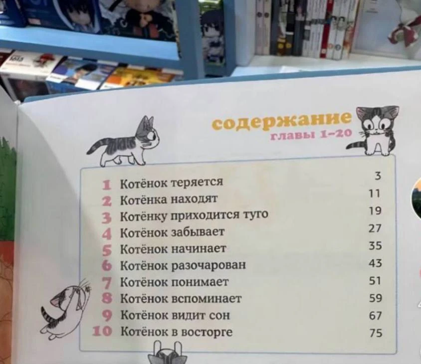 С планами на день определились
