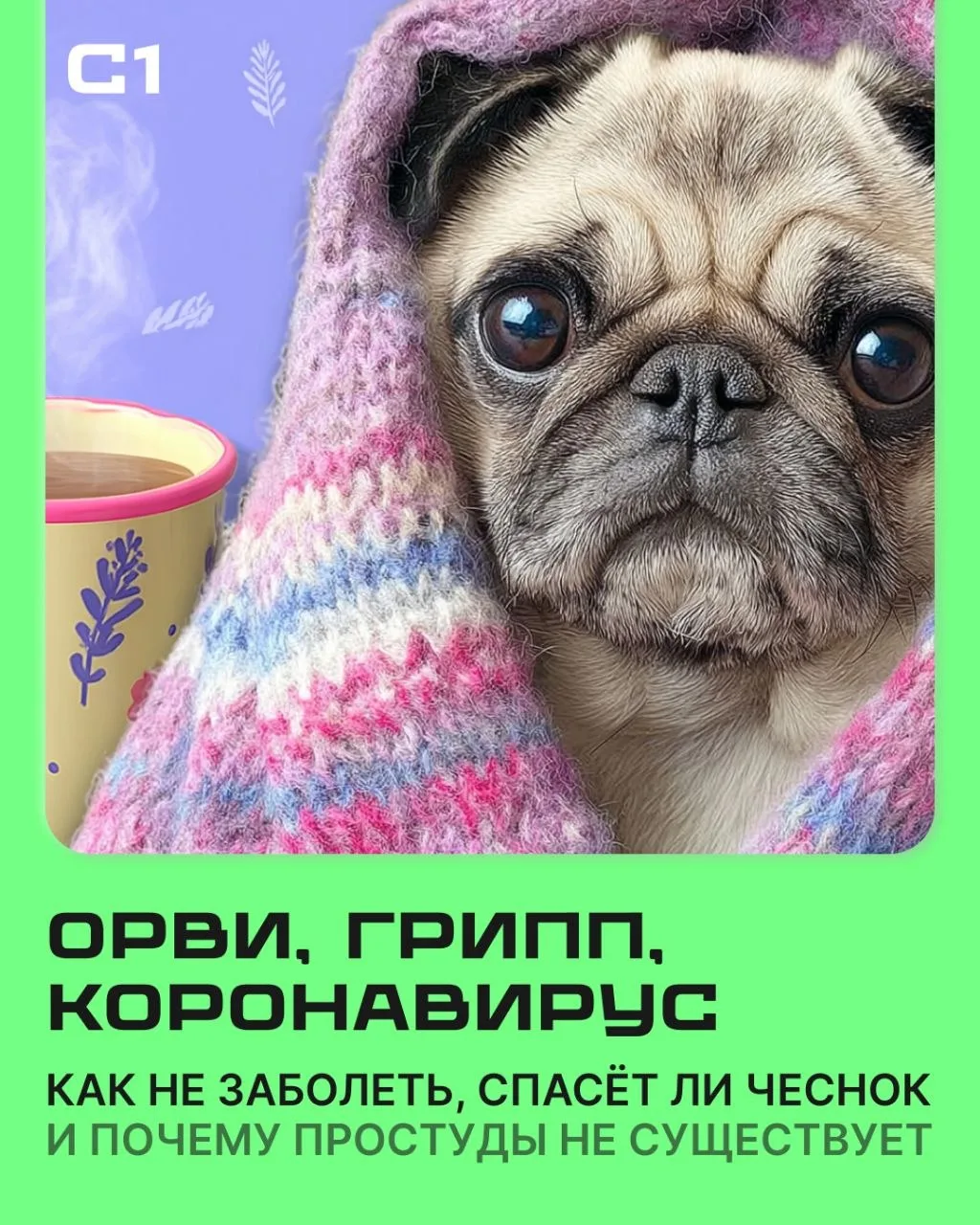 Осень — время когда простуду подхватить просто. Промокшие ноги, ветер, слякоть, перепад...