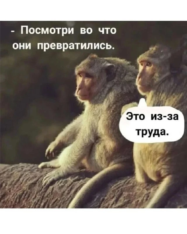 Вакансия в Екатеринбурге