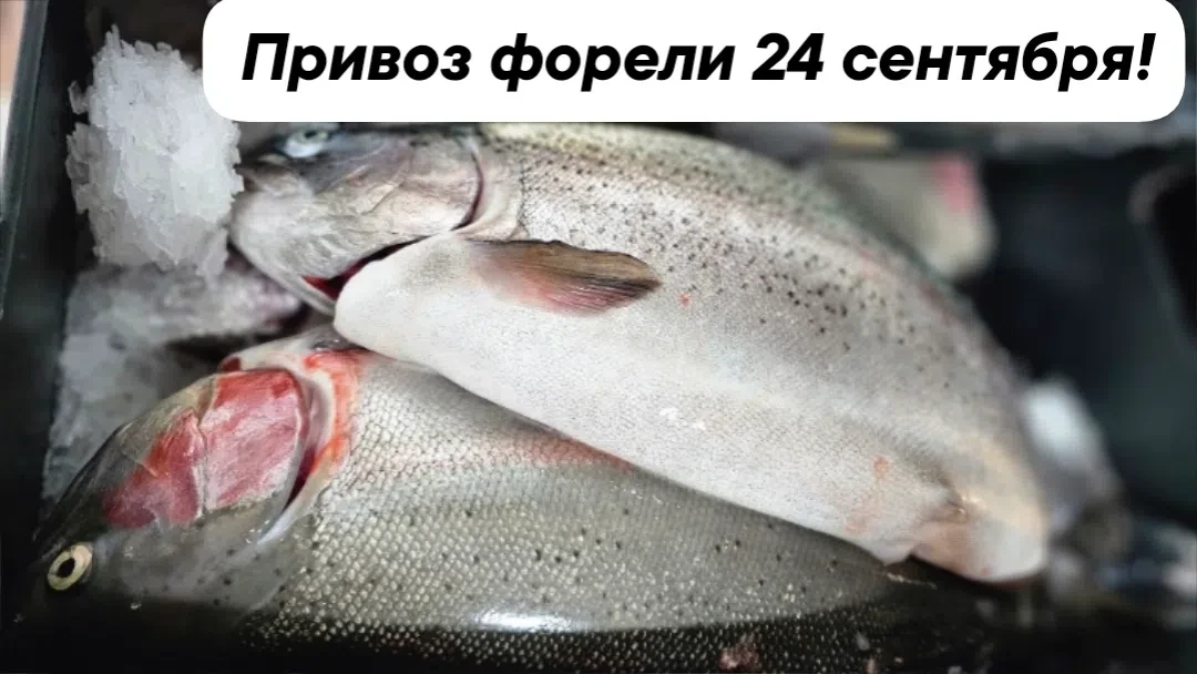 Дорогие друзья!❤️