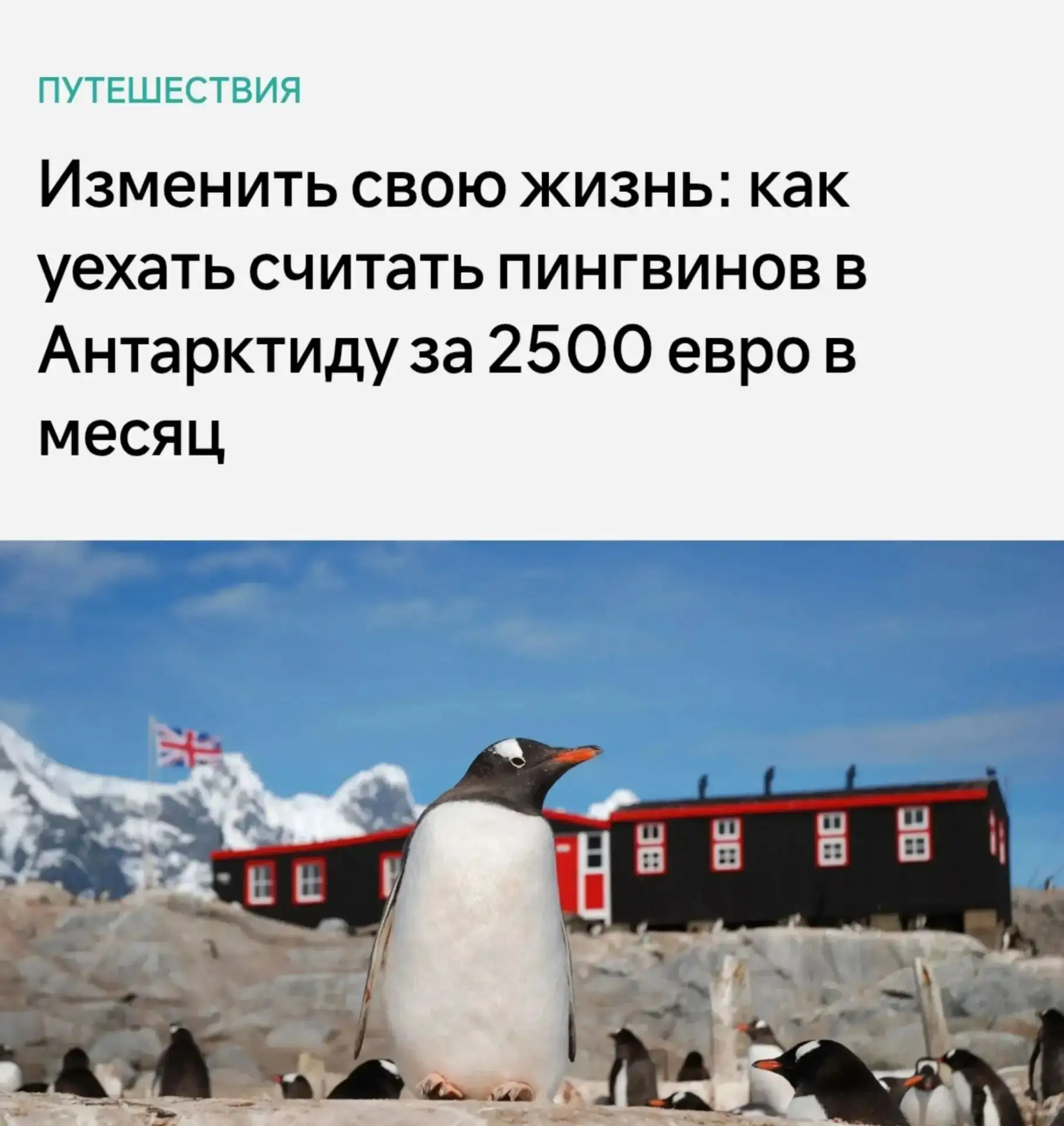 Смотрителя за пингвинами с зарплатой 230,000 рублей ищут в Антарктиде.