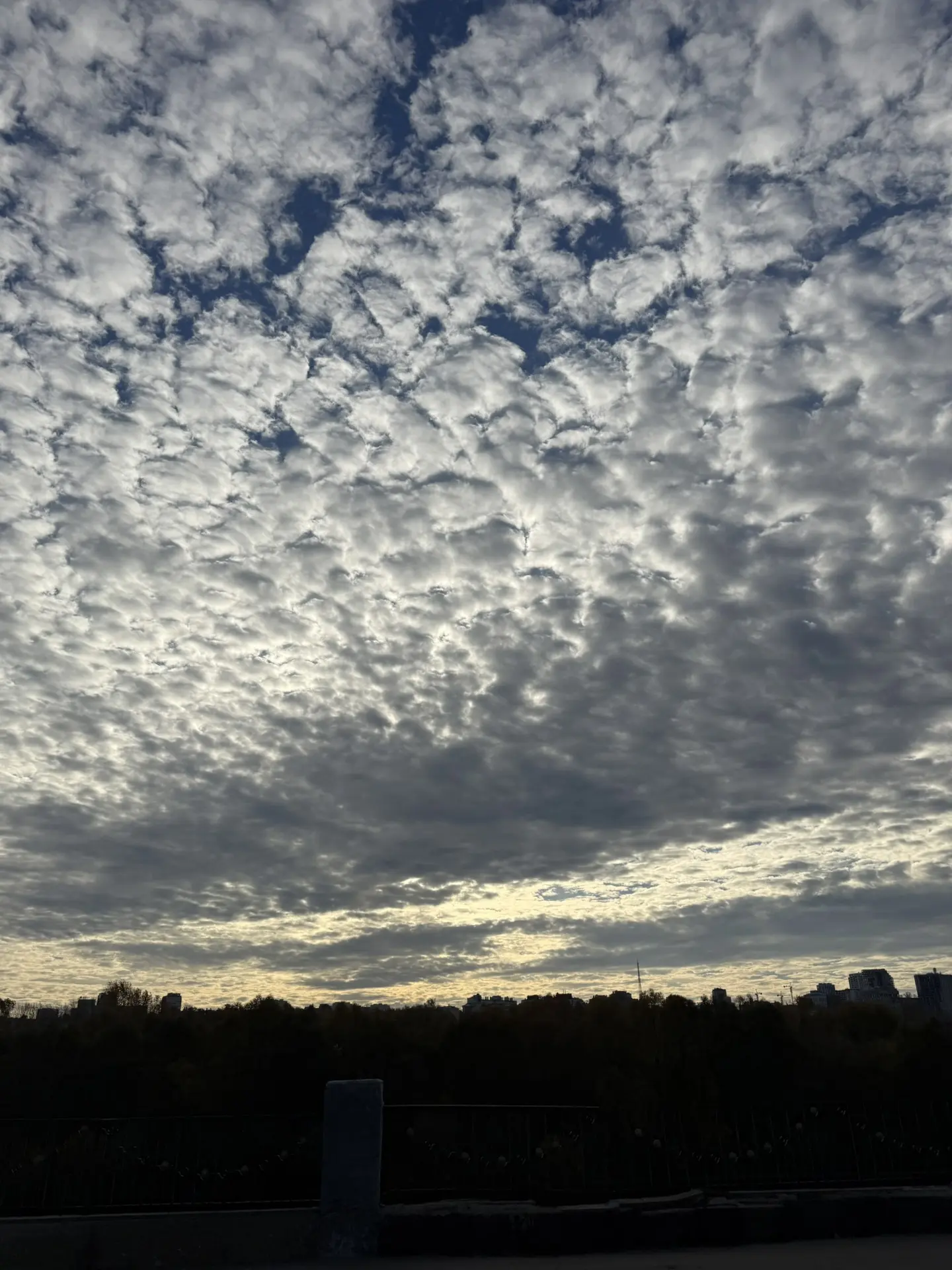 Едем на любимую работу, наслаждаясь красотой утреннего неба 🌥️
