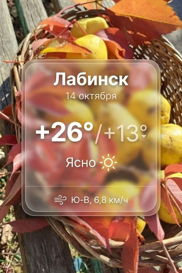 с добрым утром..