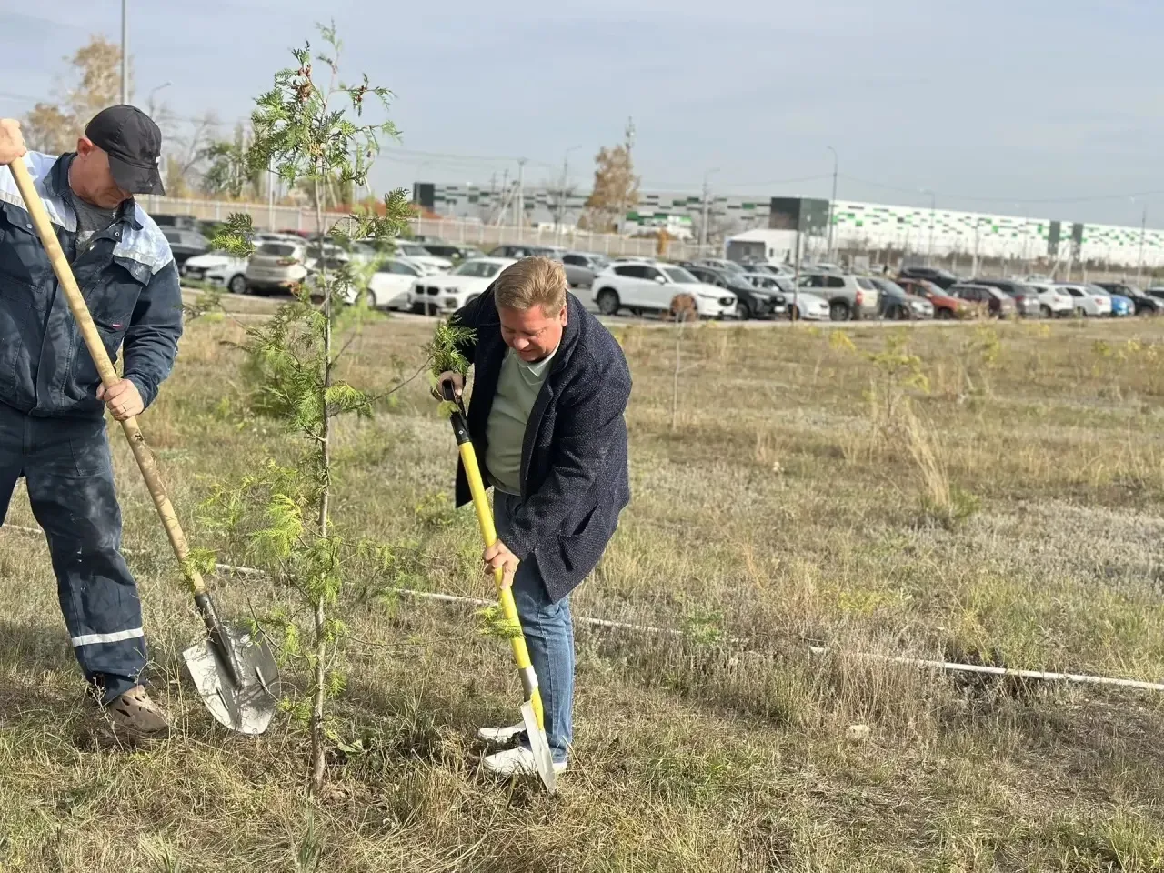 🌳 Территория больницы становится зеленее!