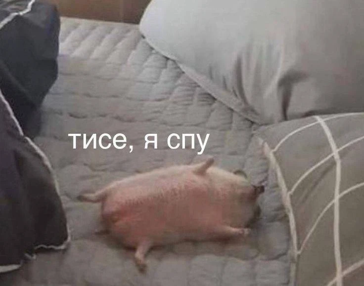 СКОРПИОН, 10 октября. Проспи весь день