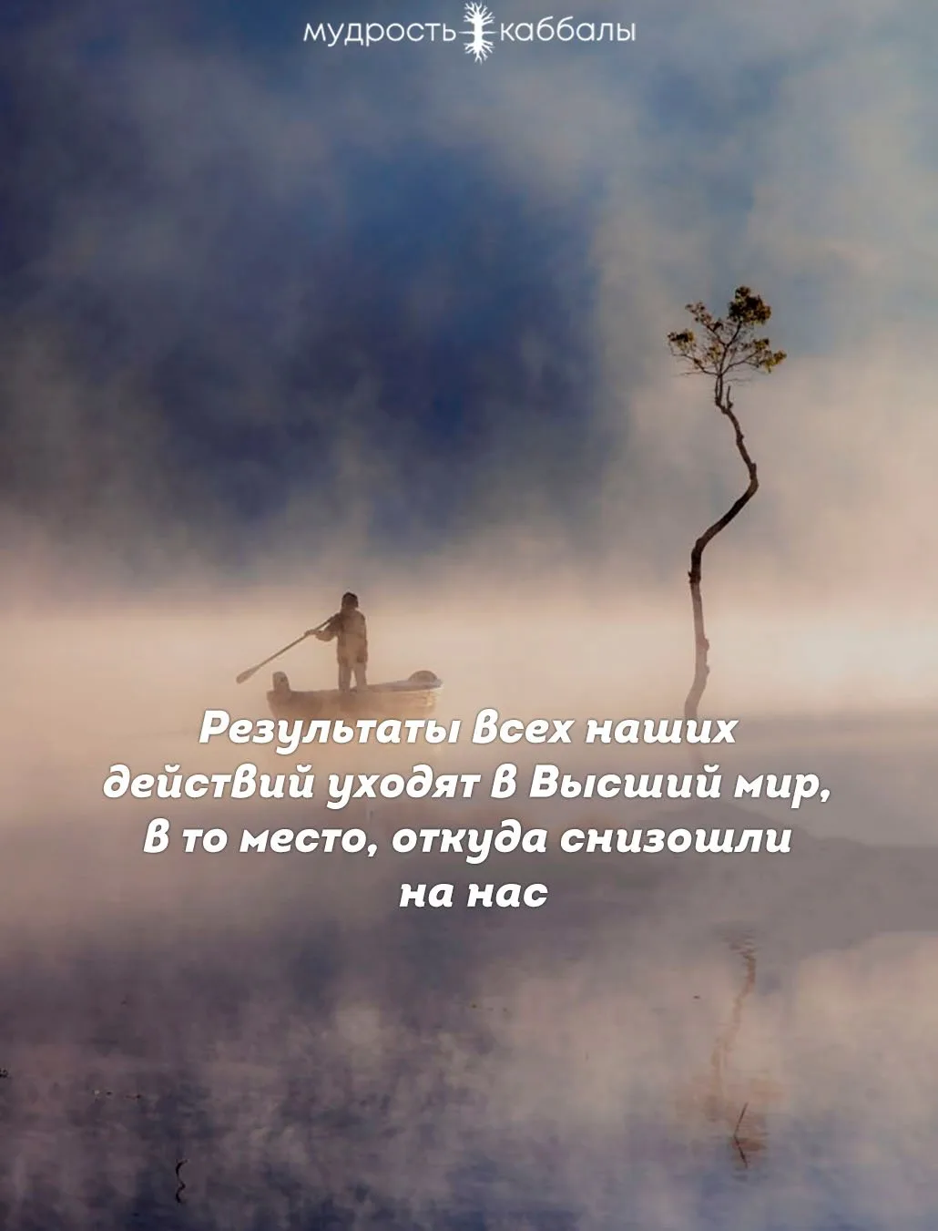 #результаты #высшиймир