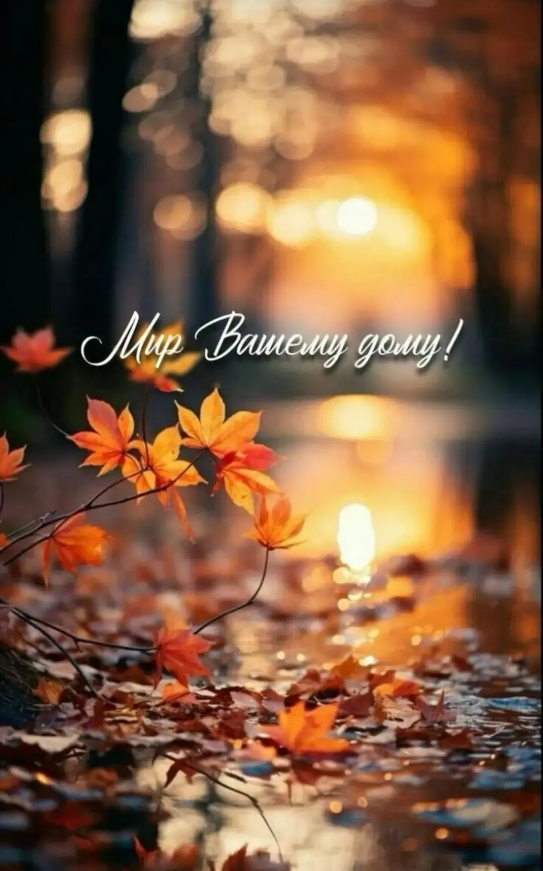 💝