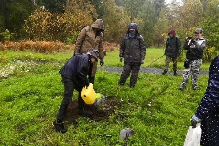 🏡 Под Петрозаводском волонтеры помогли Ботаническому саду ПетрГУ подготовиться к зиме