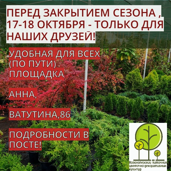 ❗️ДРУЗЬЯ, АКЦИЯ ПЕРЕД ЗАКРЫТИЕМ СЕЗОНА — СПЕЦИАЛЬНО ДЛЯ ВАС!