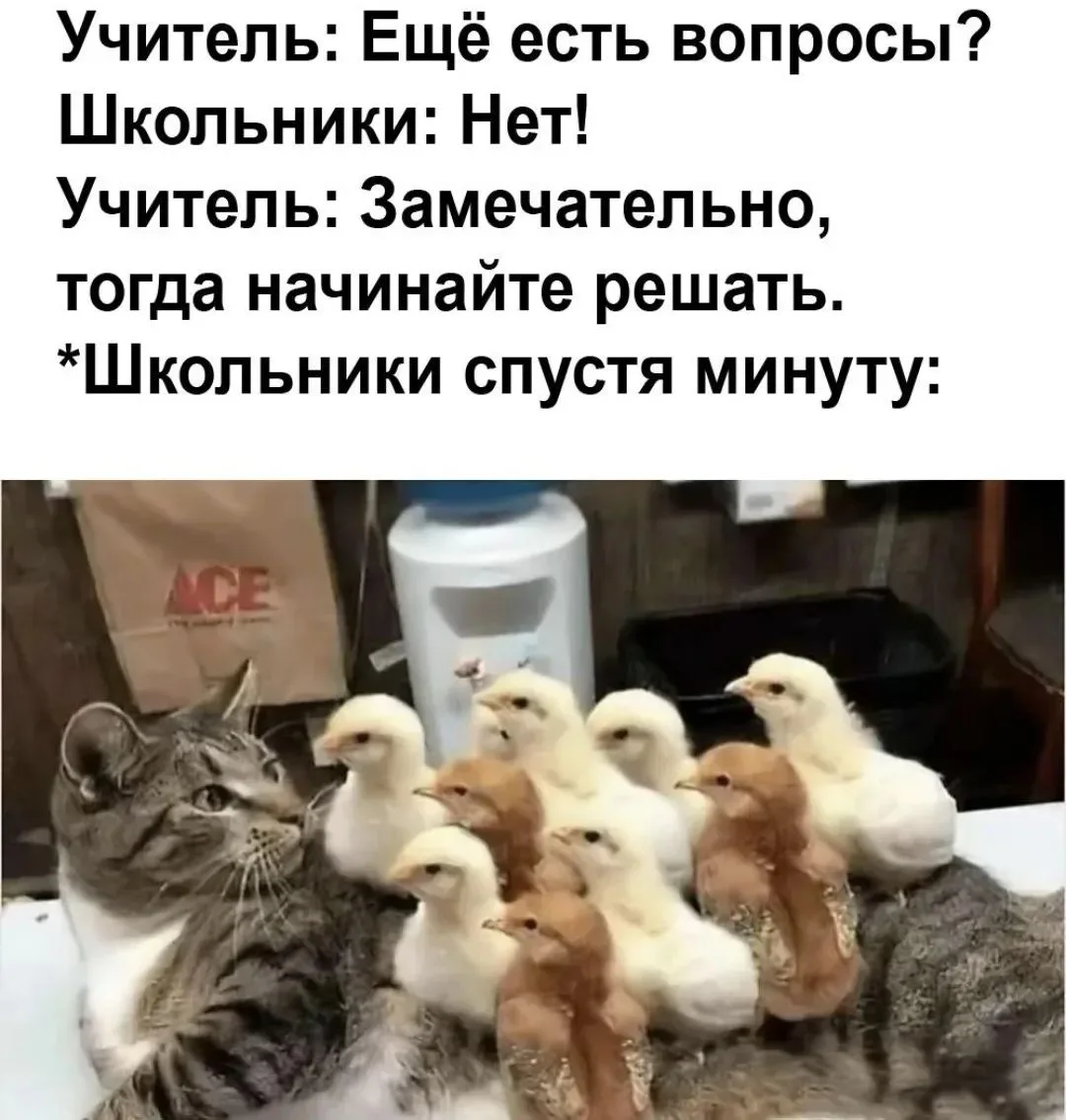 С понедельником и с днём учителя!