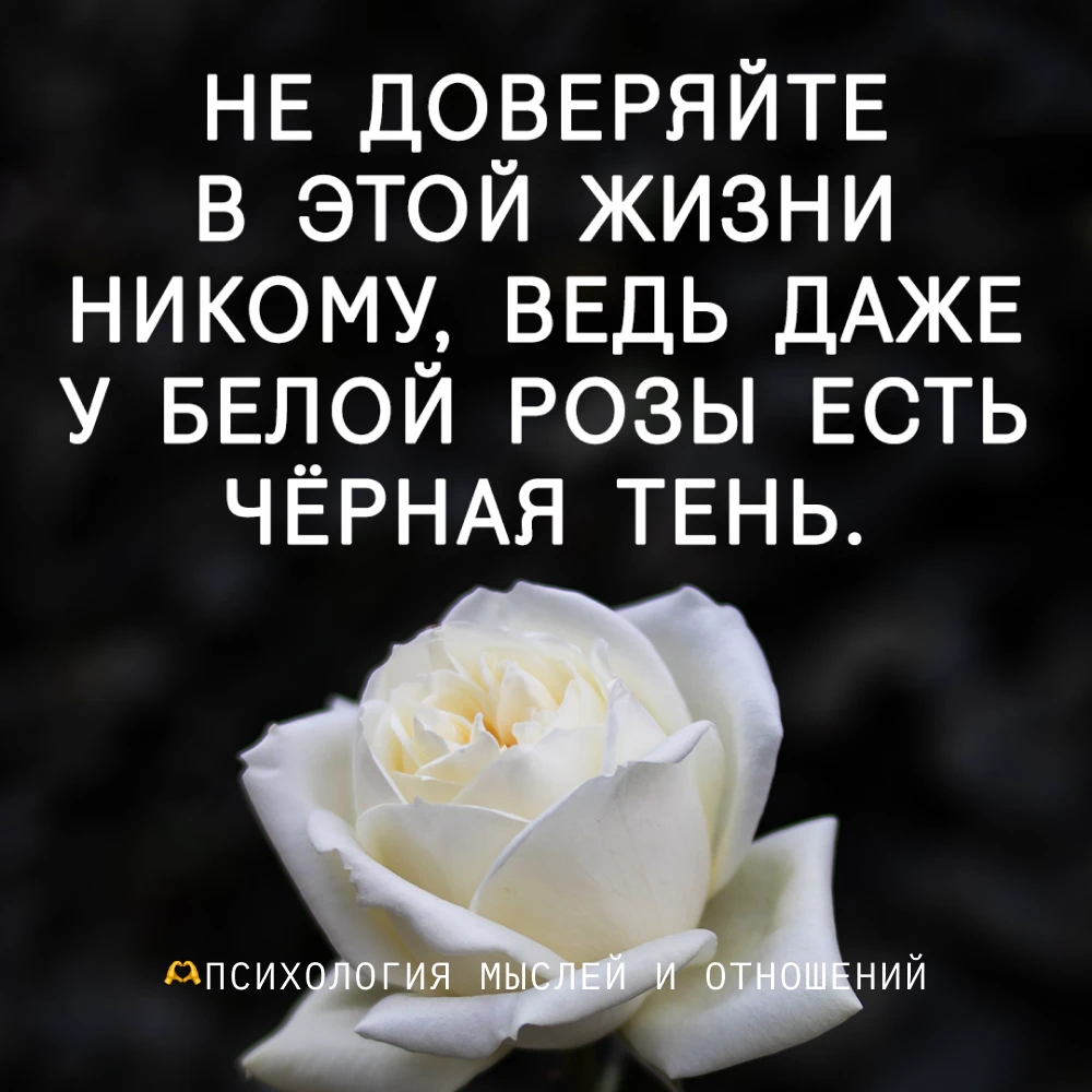 🫶 Психология мыслей и отношений