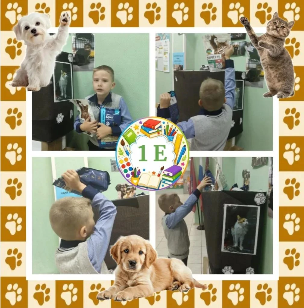 🐈🐕Ученик 1 "Е" класса - Расул - принял участие в благотворительной акции "Дай лапу др...