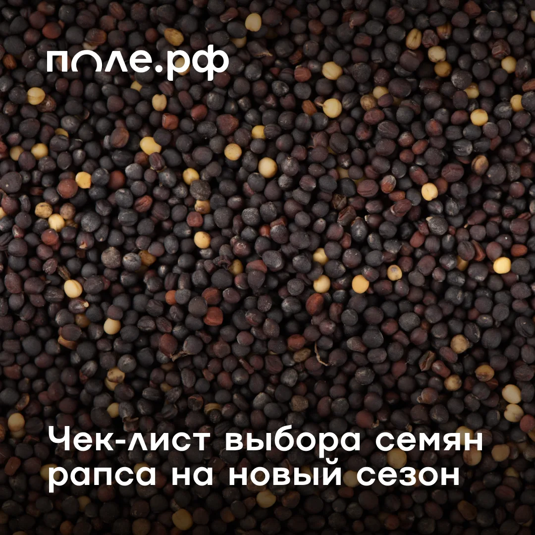 🌱 В одном из прошлых постов мы рассказали, как современная селекция помогает нивелиров...