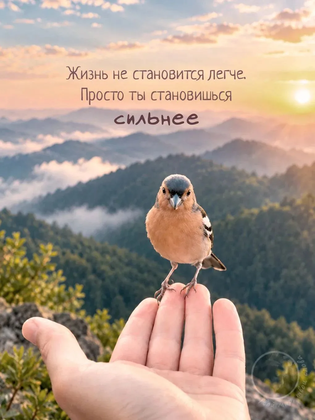 Спасибо, Жизнь, за каждый миг земной,