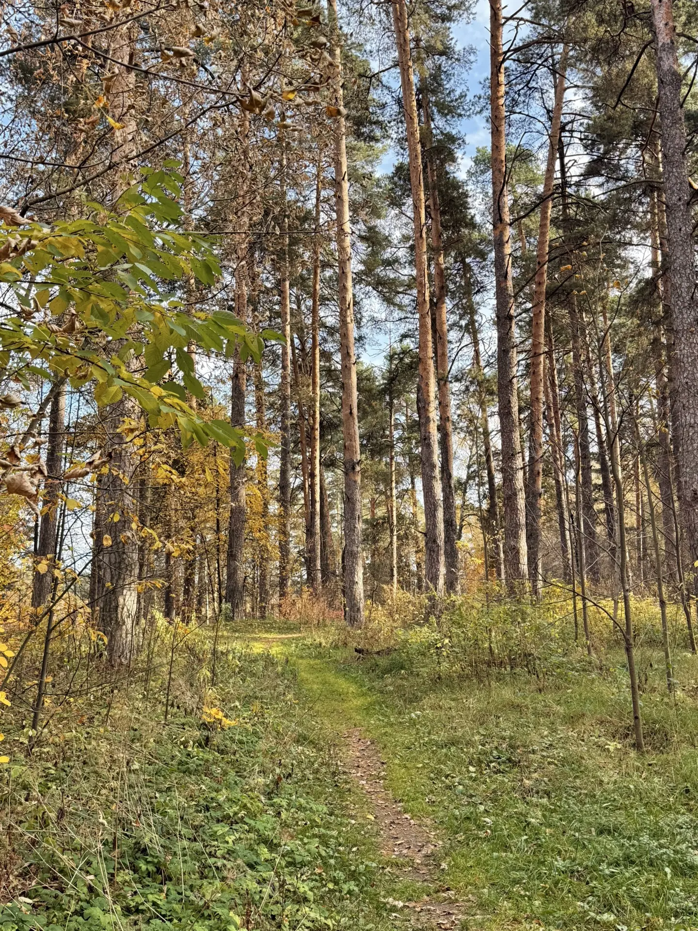 Хәерле иртә🍁