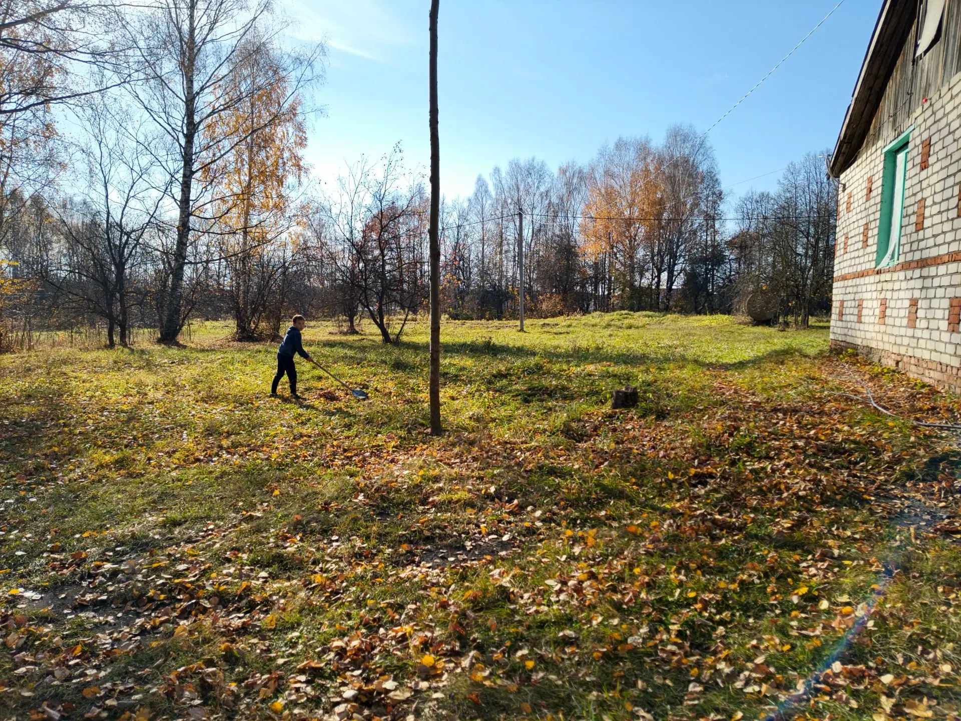 🍁 Осенний трудовой десант: дружно, весело, с пользой! 🍁