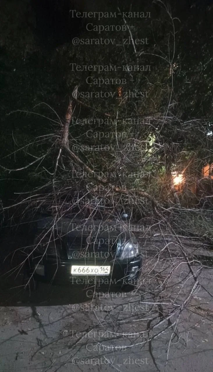 Кавказский проезд, дом 20. В течение трёх лет обращались в компанию благоустройства по ...