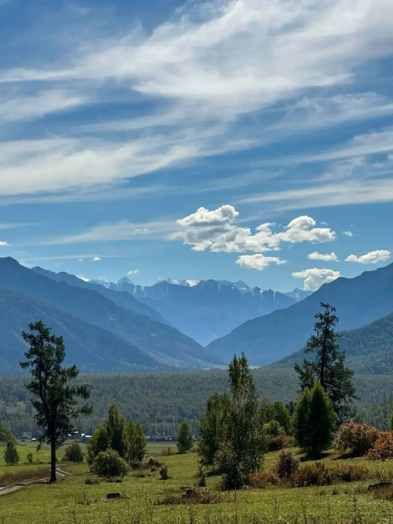 ОСЕННИЙ АЛТАЙ — ВРЕМЯ, КОГДА ГОРЫ ГОРЯТ ЗОЛОТОМ 🍂🏔️