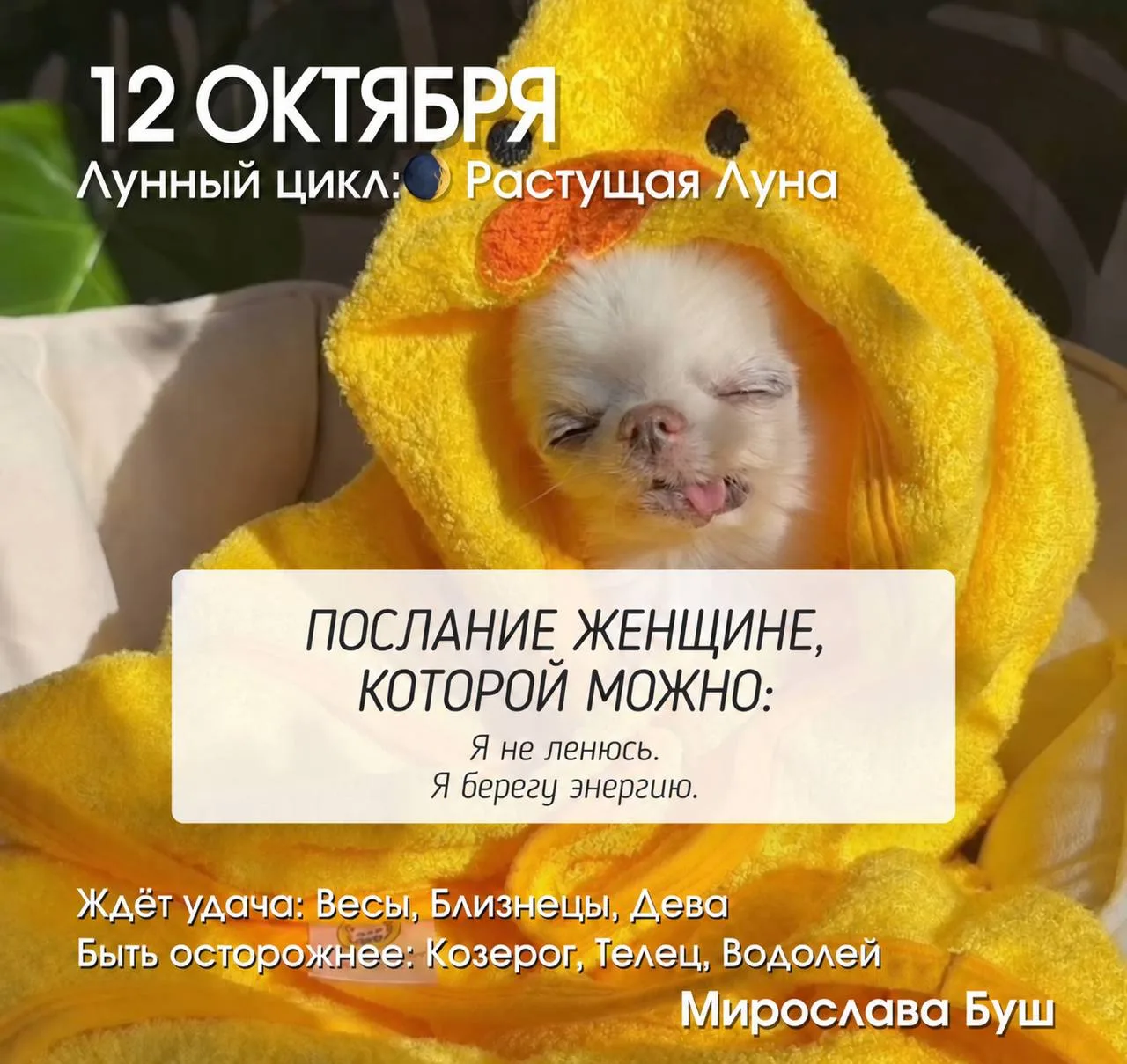 12 октября РЕКОМЕНДАЦИИ 🔥
