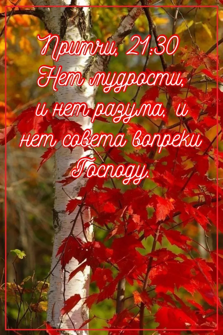 https://max.ru/channel_otkritkaradosti