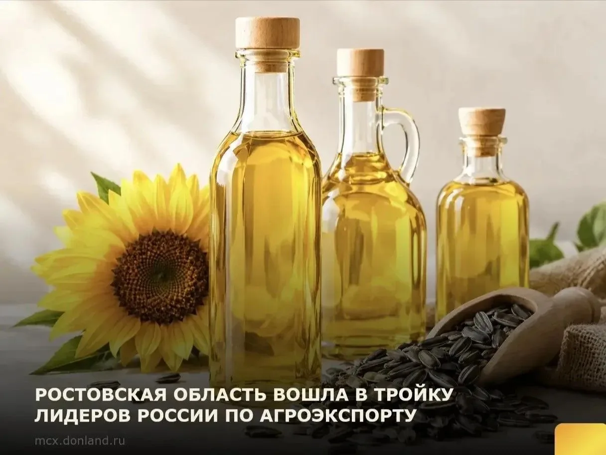 Ростовская область вошла в тройку российских регионов-лидеров по объёму экспорта продук...