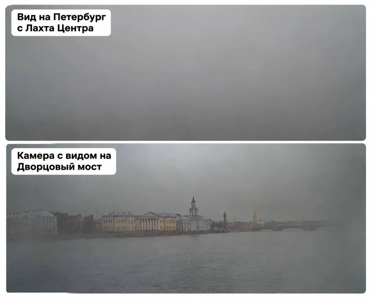 😄 Так выглядит Питер, которым так восхищаются петербуржцы осенью