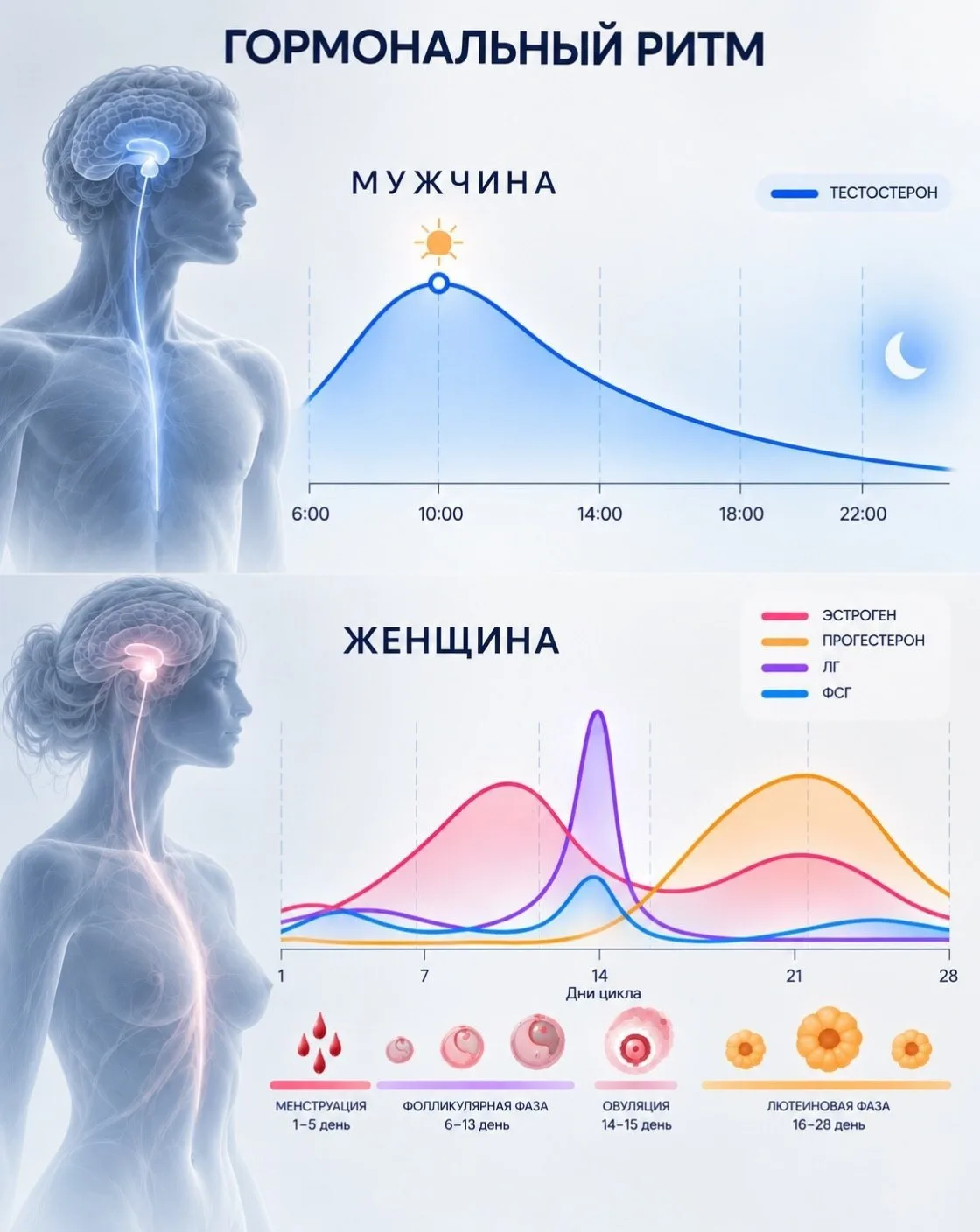- Самый неочевидный признак начала обвала гормонов у женщины!