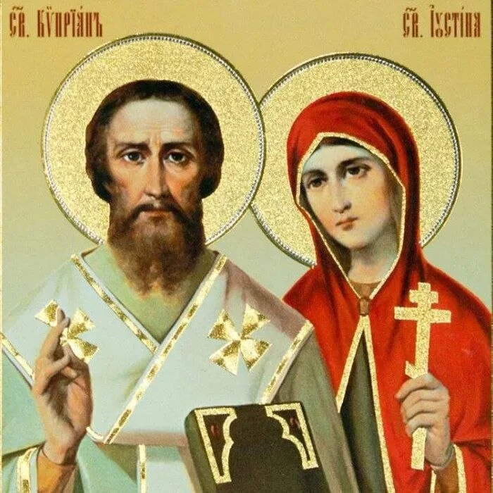 ❤️💛🌿❤️💛🌿❤️💛🌿