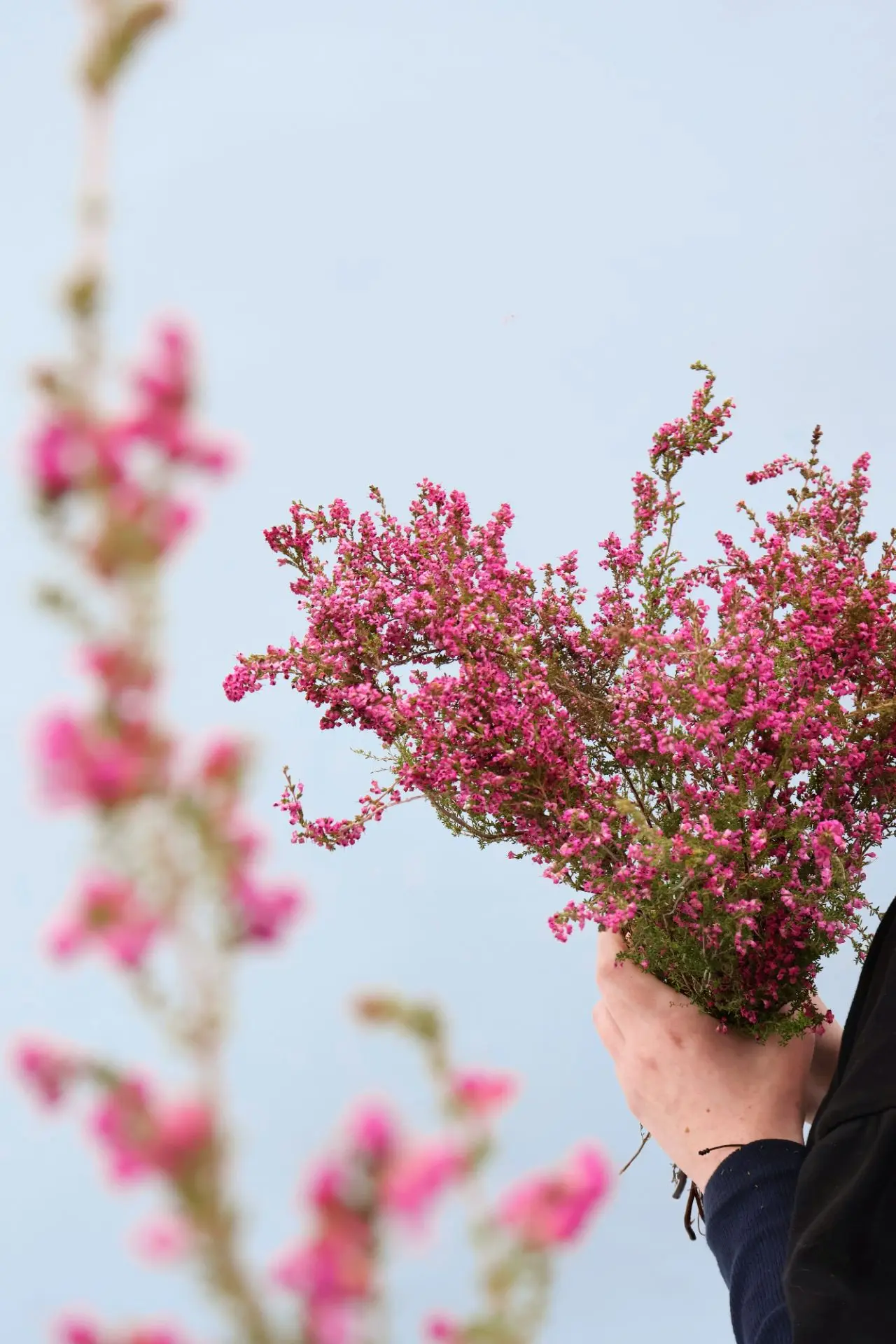 Цветочная поставка🌸