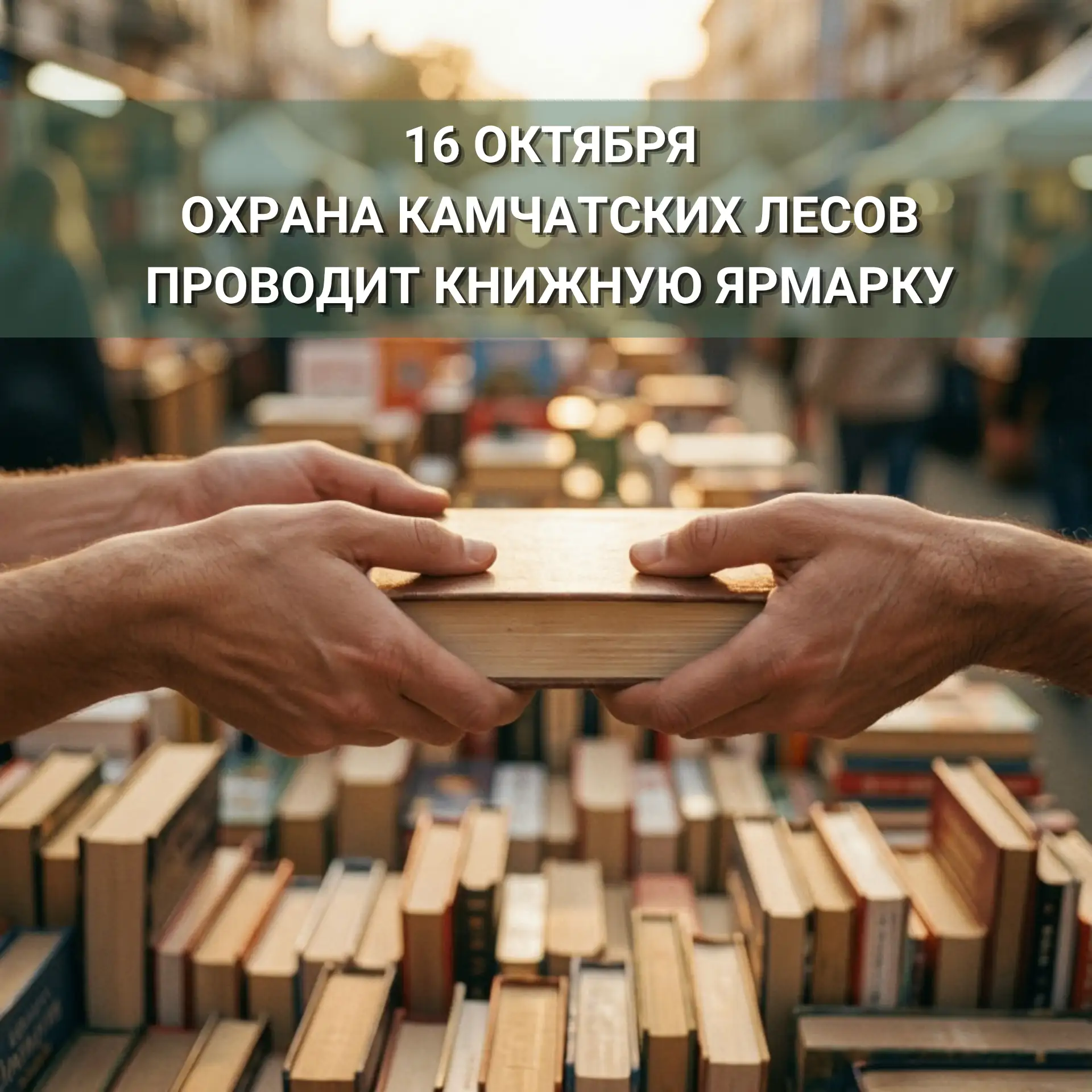 📒 КГАУ «Охрана камчатских лесов» приглашает всех на Книжную Ярмарку!