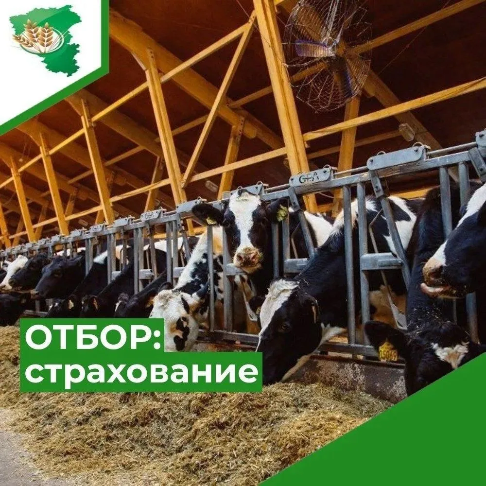 📢 Объявляется отбор на предоставление субсидии на возмещение части затрат на уплату ст...