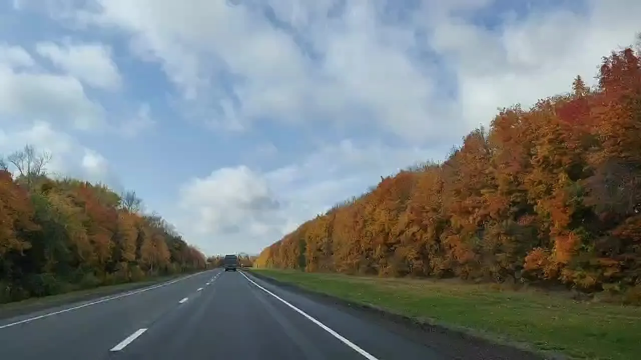 Золотая осень.