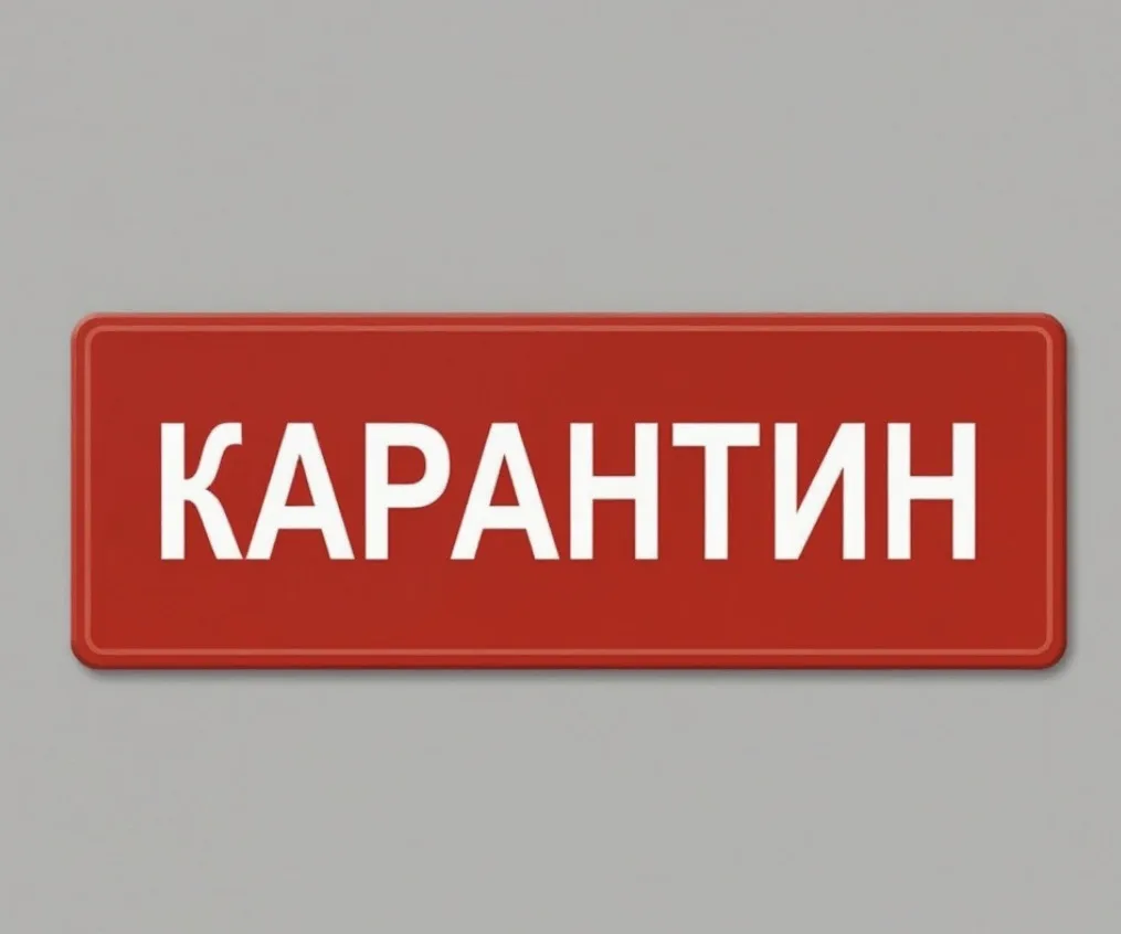 В Ачинском округе введён карантин из‑за трихинеллёза: что важно знать жителям