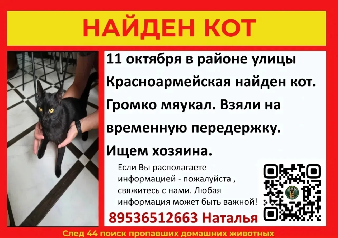 https://max.ru/channel_dtpkostroma