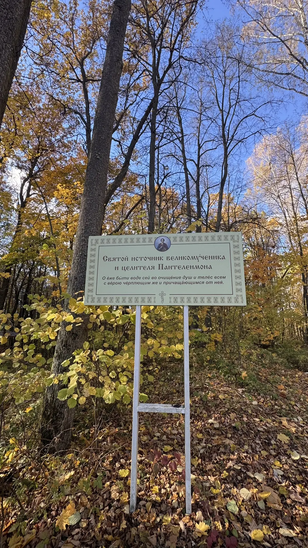 🍂 Осень на источнике целителя Пантелеимона в Егнышевке.