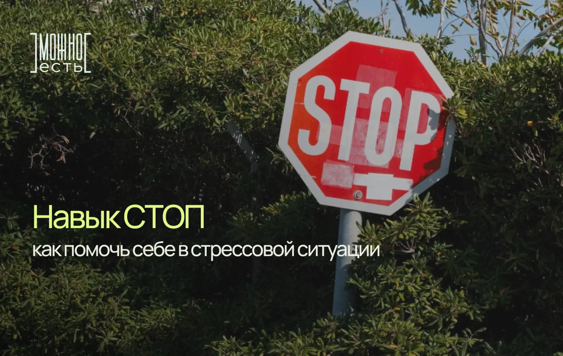 В стрессовых ситуациях мы можем действовать импульсивно и тем самым вредить себе.
