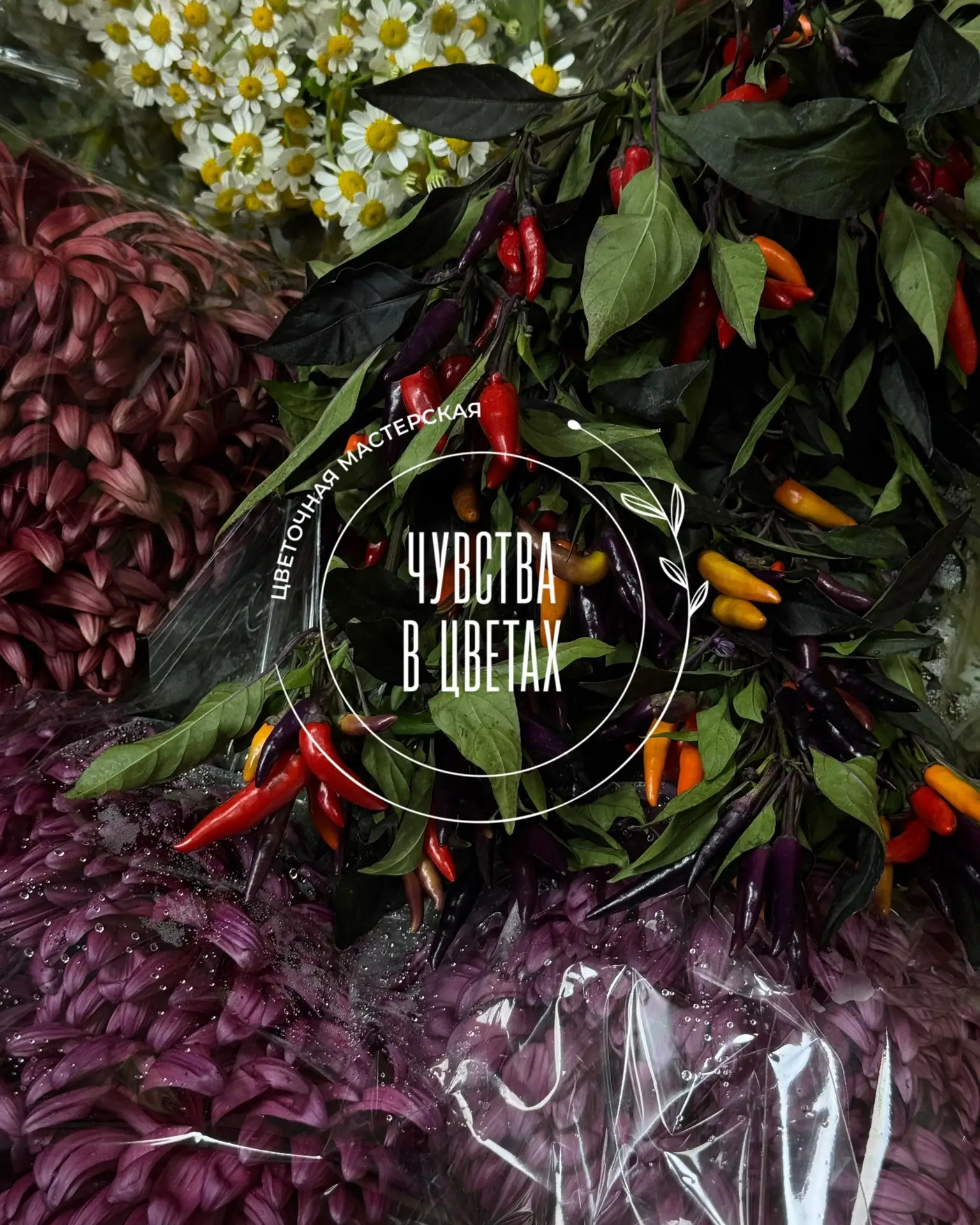 Поставка с перчинкой 🌶️