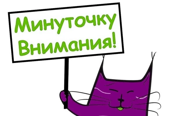 🚧 На трассе А-310 под Челябинском ограничили движение