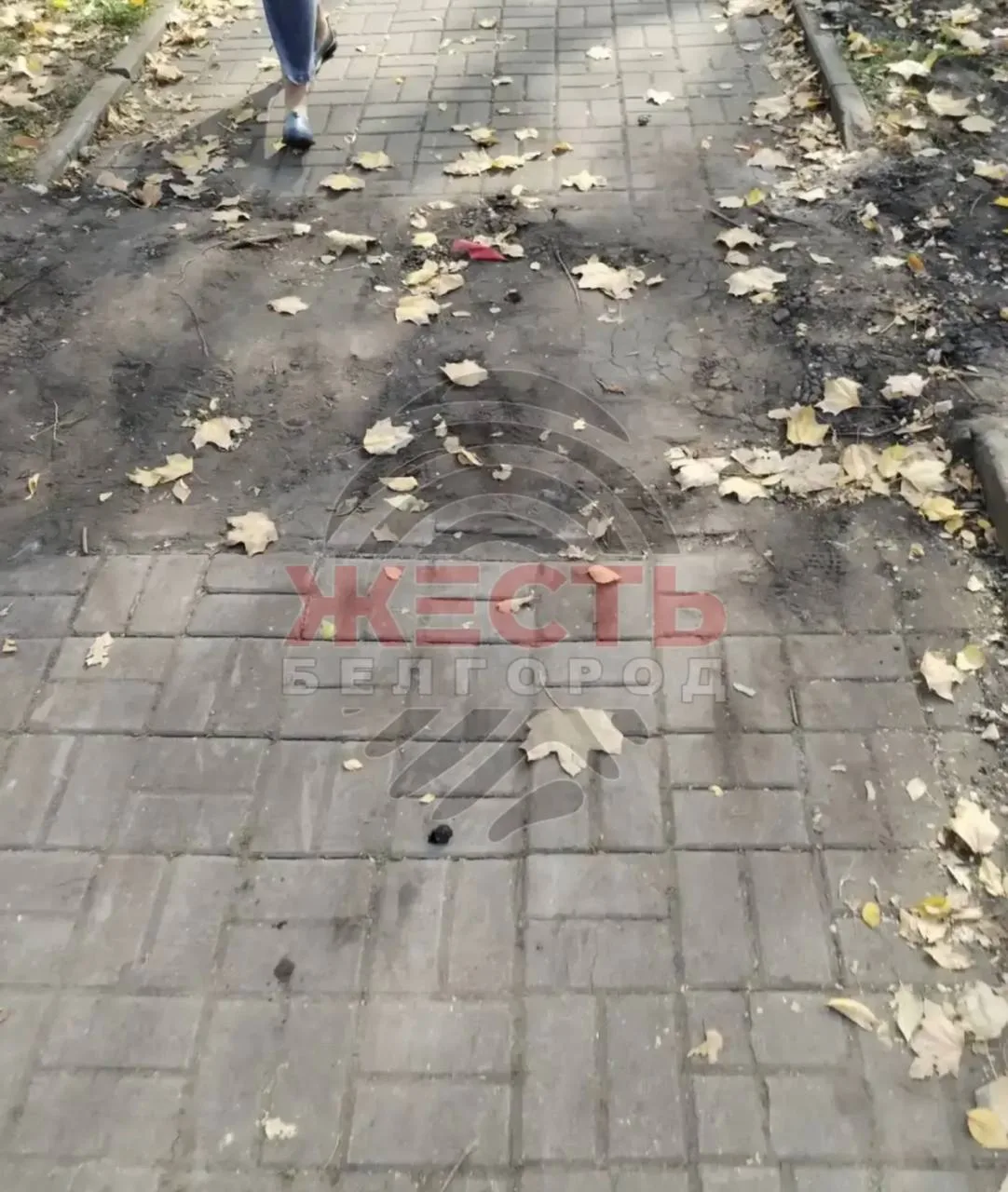 В центре Белгорода после ремонта не восстановили тротуар