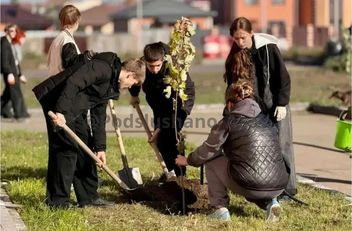 📢 НАПОМИНАЕМ!
