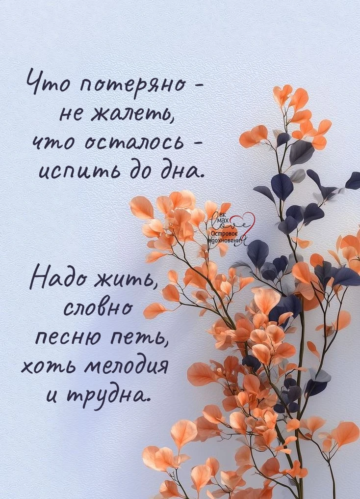 ───⋅୭⋅───